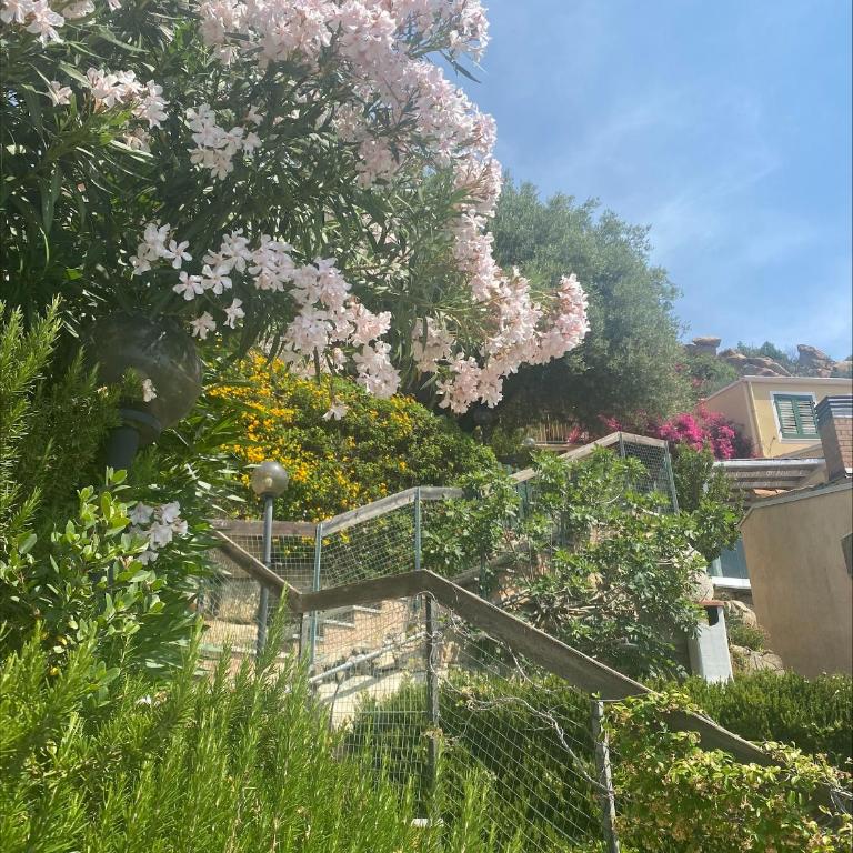 Casa Paradiso - Casa con 2 Camere da Letto - 28