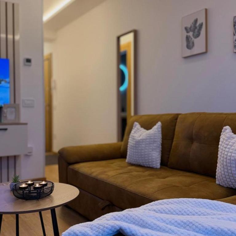 Monte Don Zlatibor - Apartman sa 1 Spavaćom Sobom - 2