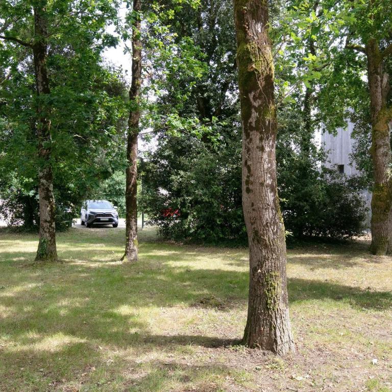 Ma Mika - Appartement proche mer - Appartement 1 Chambre Supérieur avec Balcon - 18