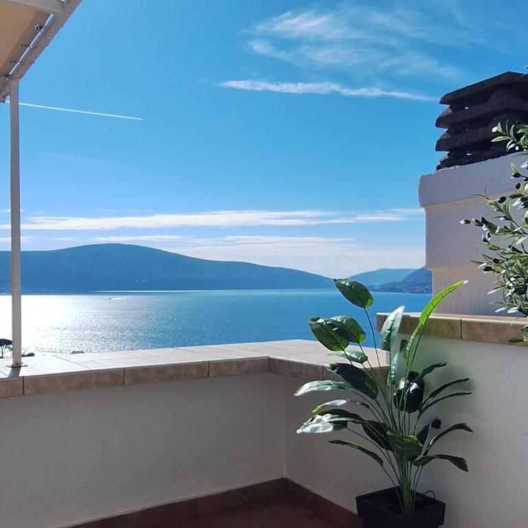 Adriabay studio Tivat - Studio with Ocean View (1) - 10