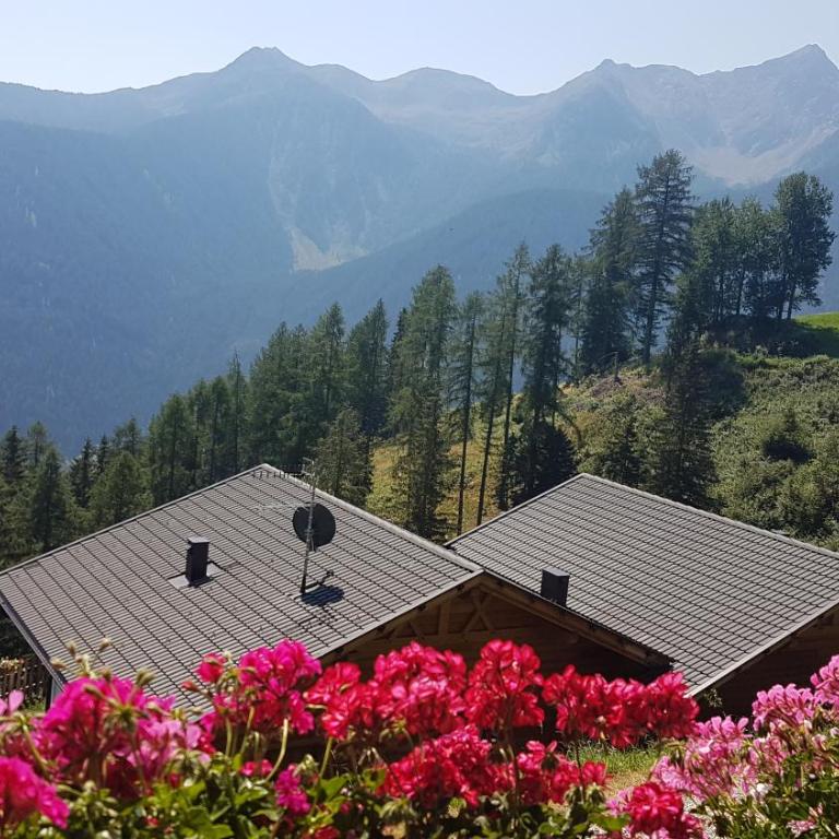 Chalet Niederhaushof - Ferienhaus - 47