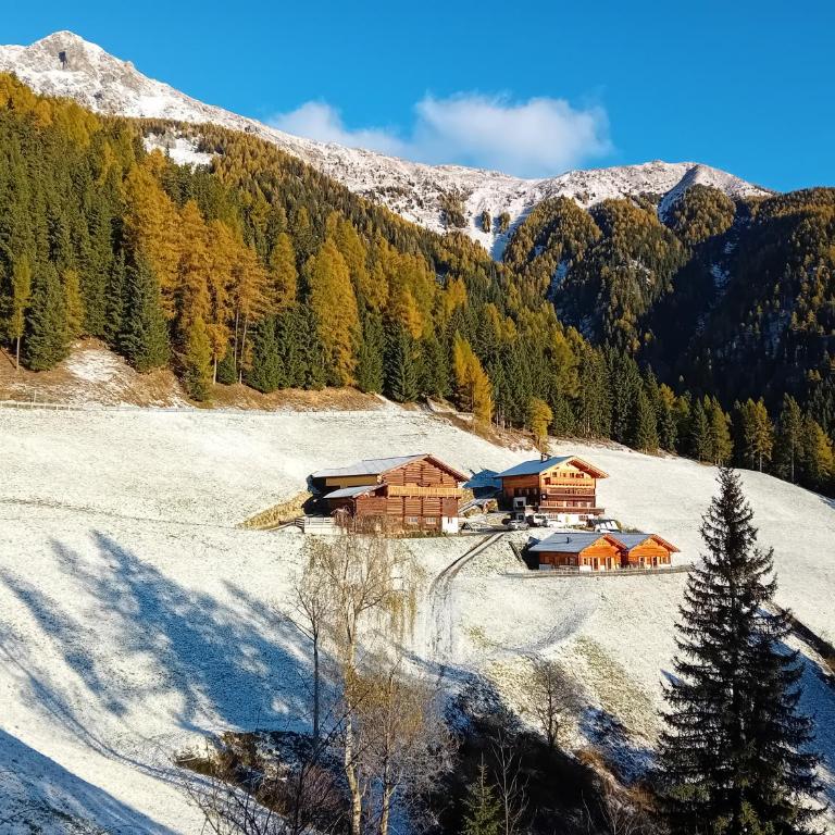 Chalet Niederhaushof - Ferienhaus - 53