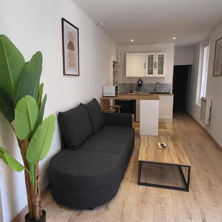 Cozy 1-bedroom apartment on Rue de la Préfecture - Appartement 1 Chambre - 9