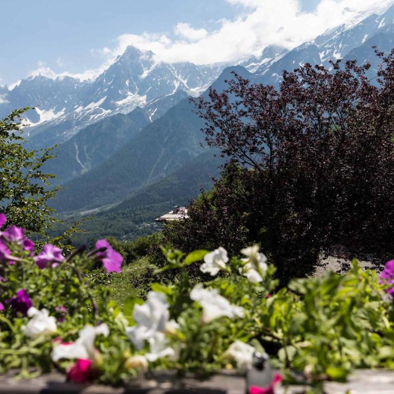 Pre des Cimes by Pangea Services - Ski in-Out Meadows Views - Chalet - 30