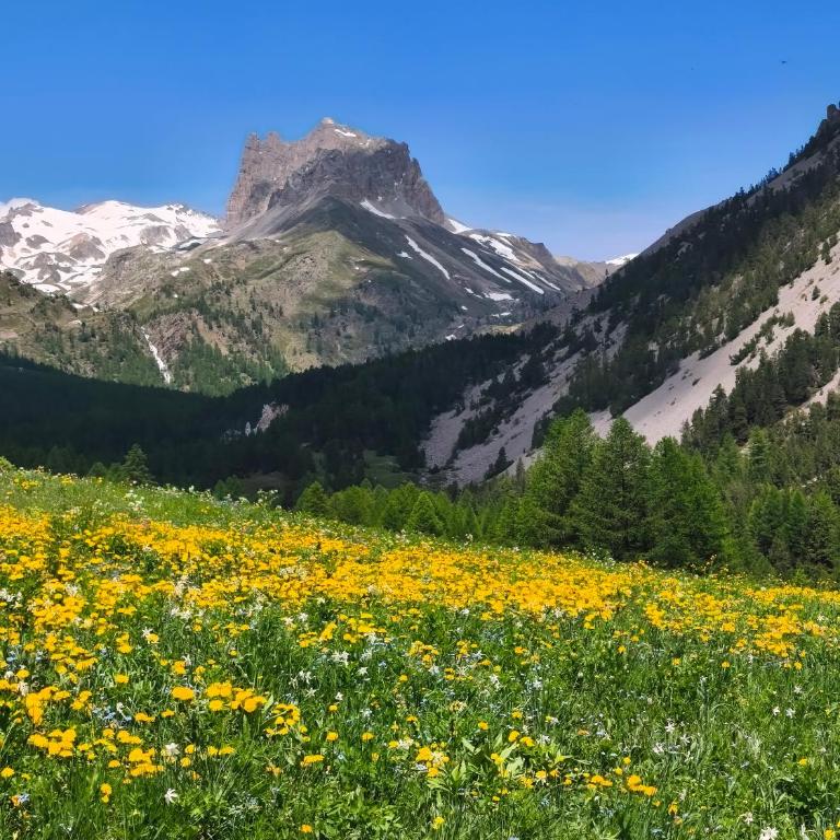 Bardo Chalet - Appartamento con 2 Camere da Letto - 6