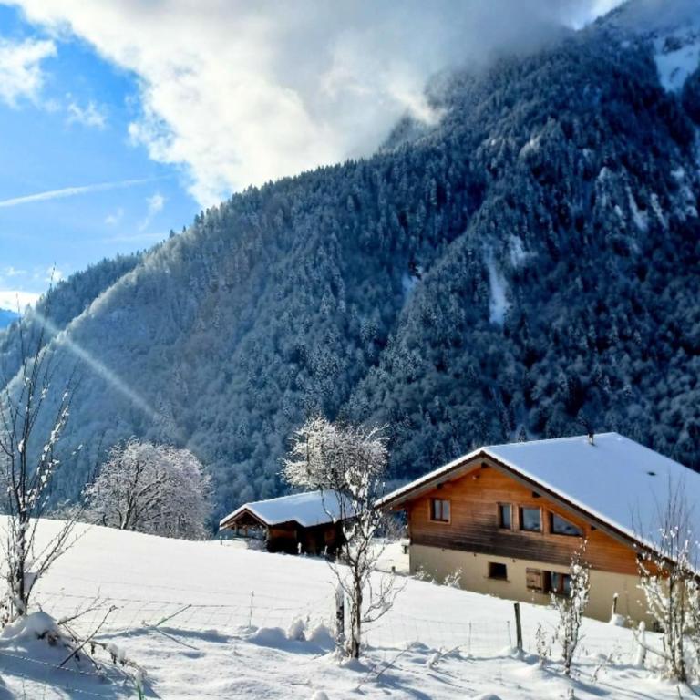 LÉcrin de Jana - Chalet familial avec jardin - Chalet - 31