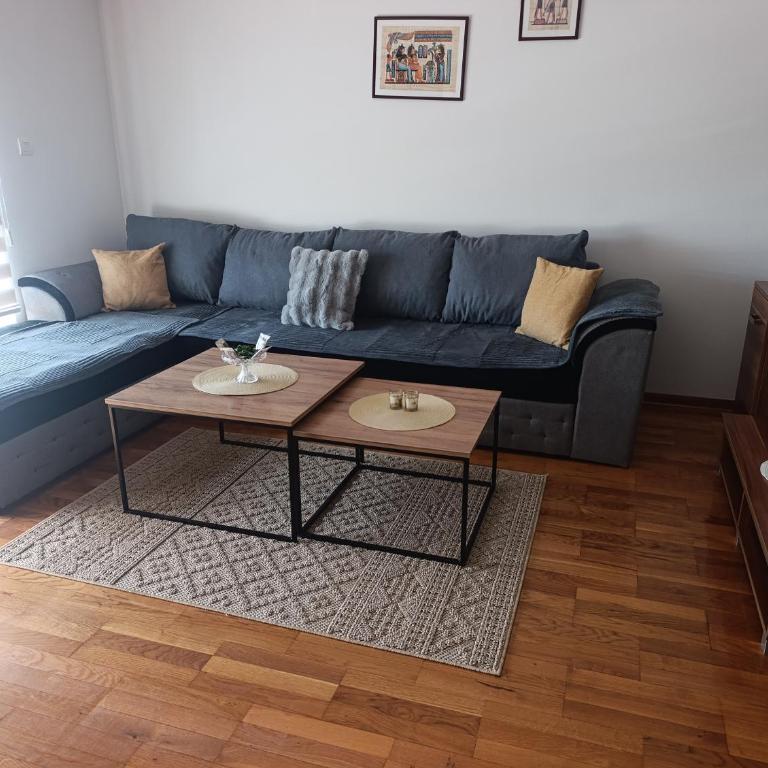Apartman TEA Trebinje - Apartment mit 2 Schlafzimmern - 1