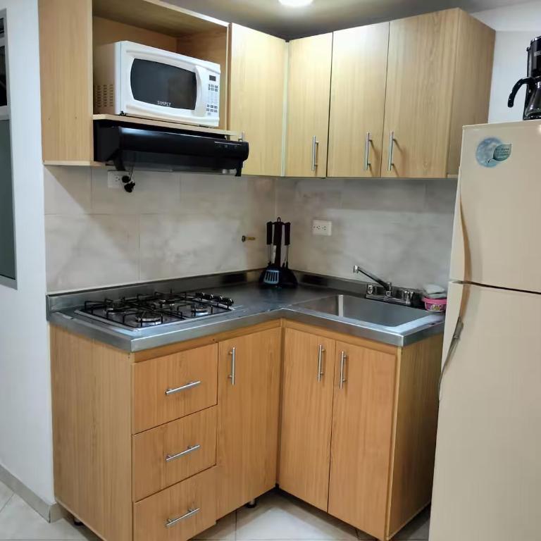 Central 100 m2, 3 camas, wifi, top vista 301 - Apartamento de 3 dormitorios - 9