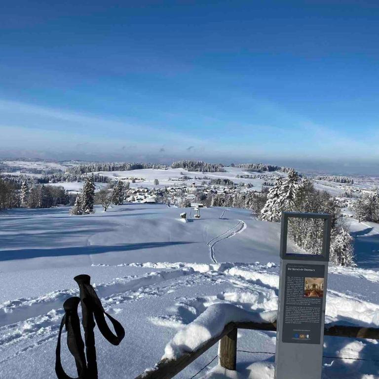 Moderne Ruheoase Allgäu - Haus mit 1 Schlafzimmer - 29