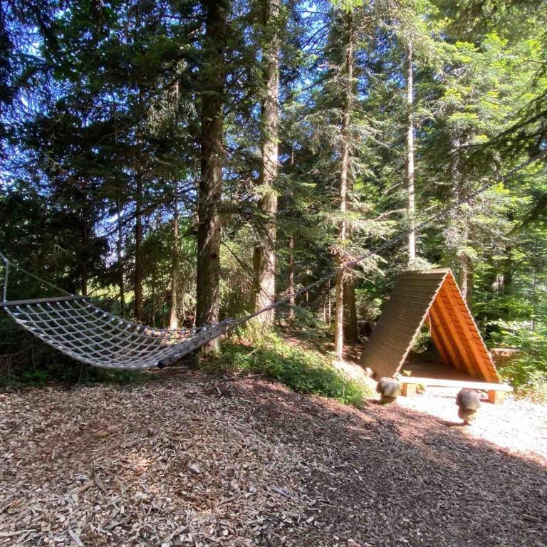 Moderne Ruheoase Allgäu - Haus mit 1 Schlafzimmer - 26
