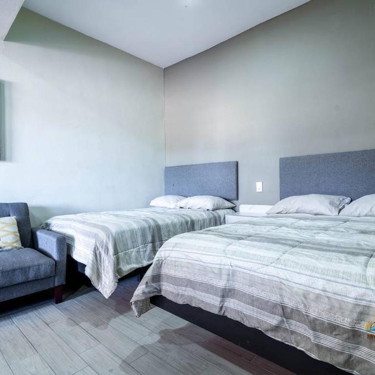 Casa Mar de Cortez - 6BR - One minute to Malecon - Casa - 5