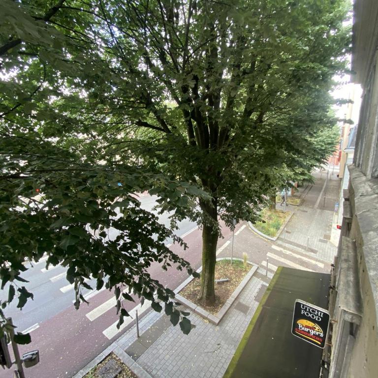 Charmant studio tout équipé au cœur de la ville - 452 - Studio - 12