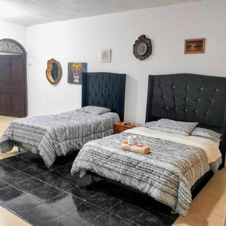 Central Apartment in Iquitos, Casona San Martín - Apartamento de 1 dormitorio - 1