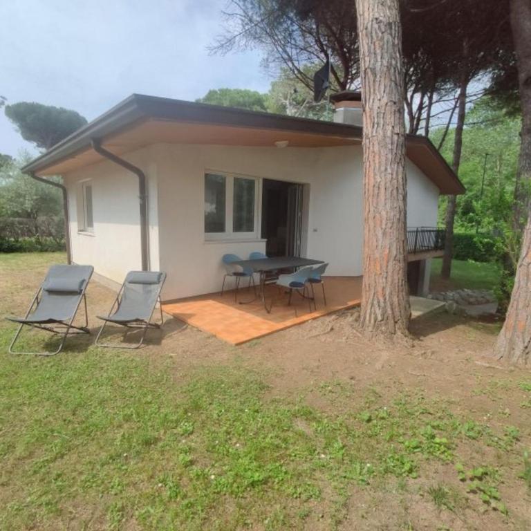 Relaxing holiday property with garden and parking - Appartamento - 1