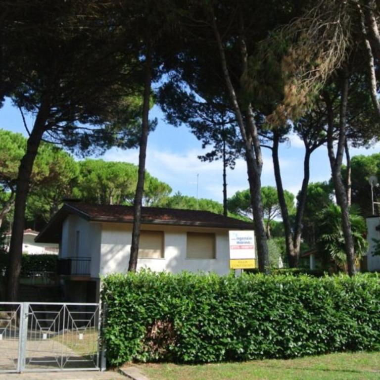 Relaxing holiday property with garden and parking - Appartamento - 20