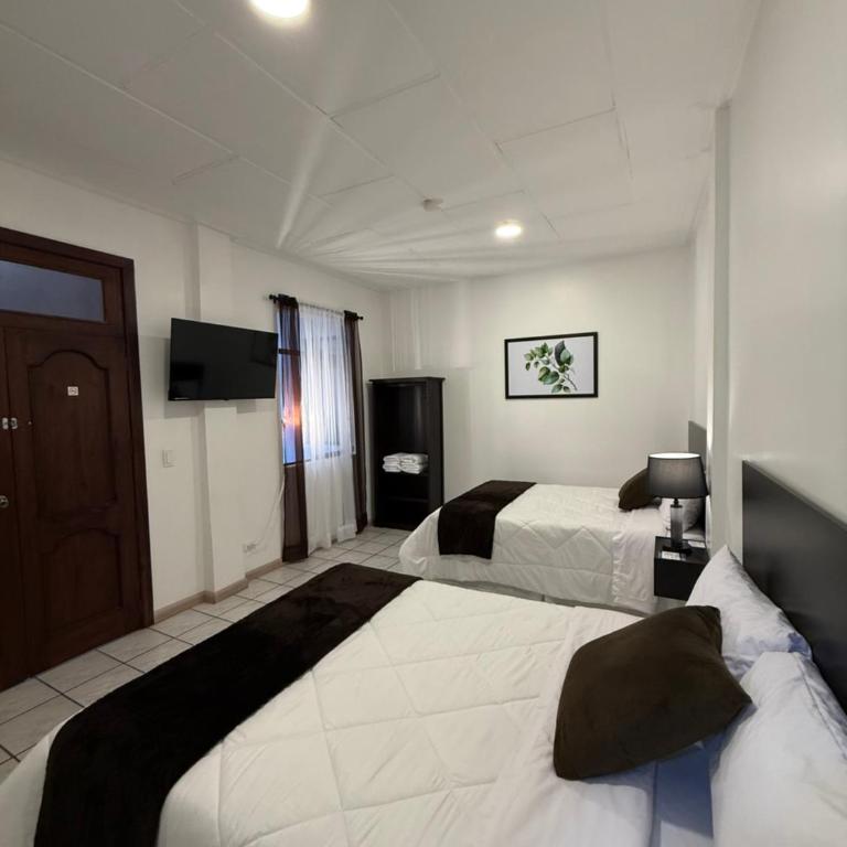 Hotel NASS del Sur - Superior Double Room with Two Double Beds - 6