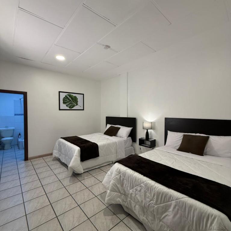 Hotel NASS del Sur - Superior Double Room with Two Double Beds - 5