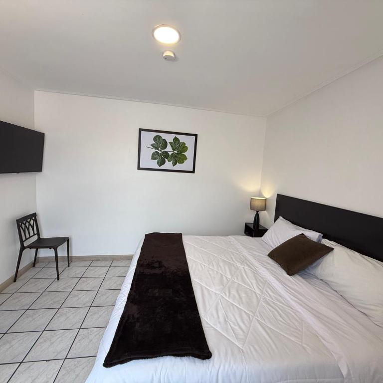 Hotel NASS del Sur - Standard Double Room - 4