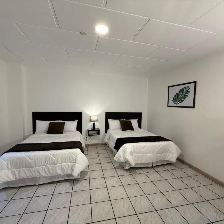 Hotel NASS del Sur - Superior Double Room with Two Double Beds - 3
