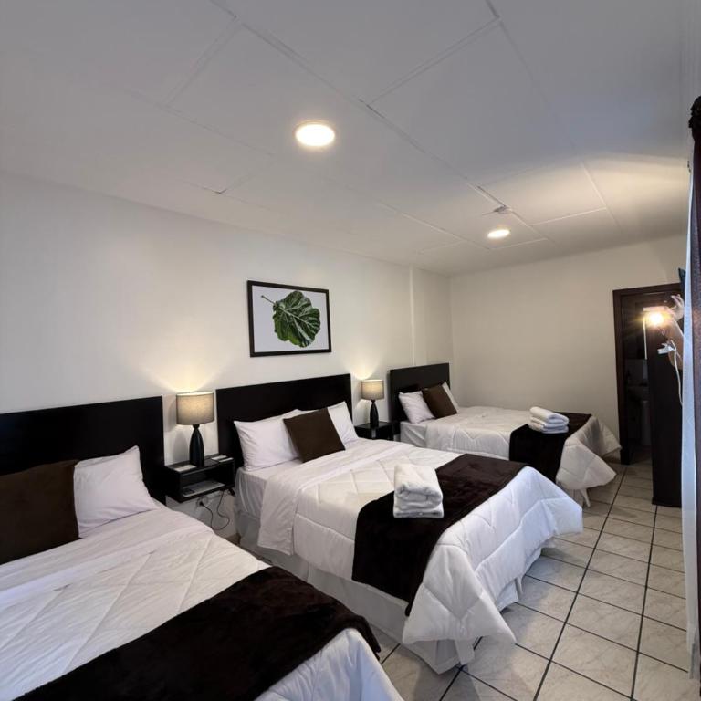 Hotel NASS del Sur - Standard Triple Room - 1