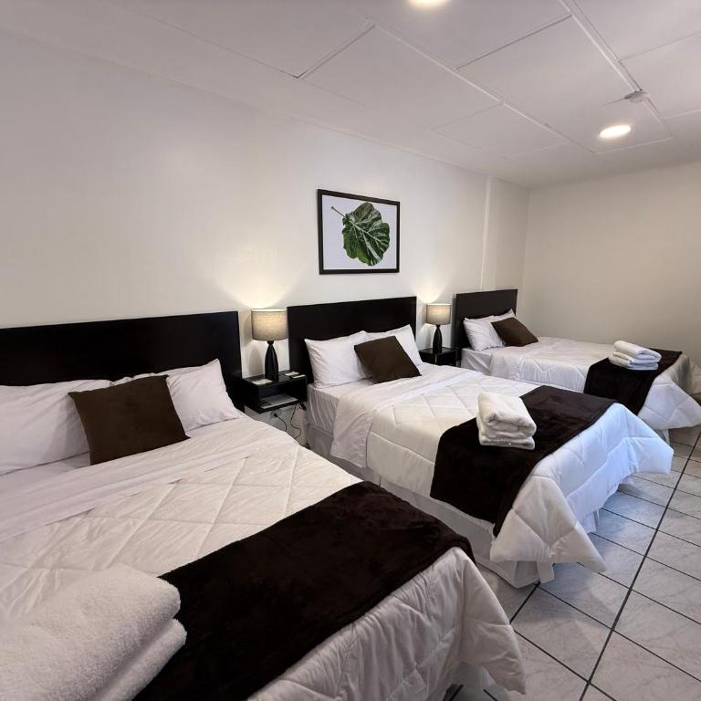 Hotel NASS del Sur - Standard Triple Room - 3