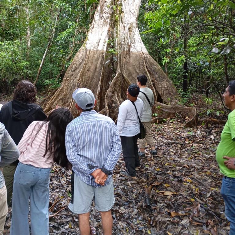 Amazon Lodge and Expeditions - Bungalow - Frente al agua - 20