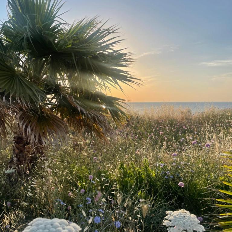 Alba sul mare - Appartamento con 2 Camere da Letto - 42