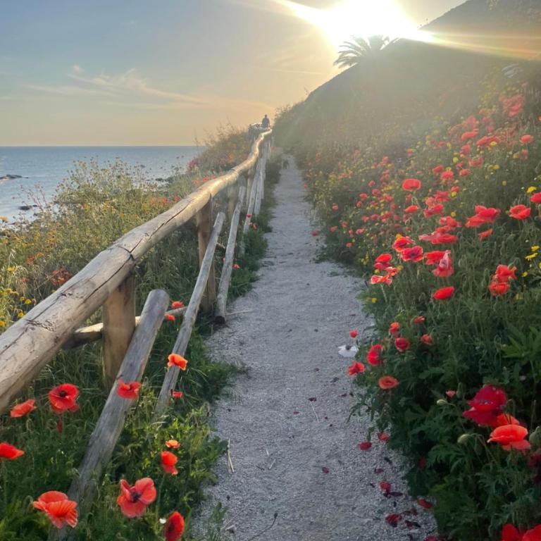 Alba sul mare - Appartamento con 2 Camere da Letto - 40