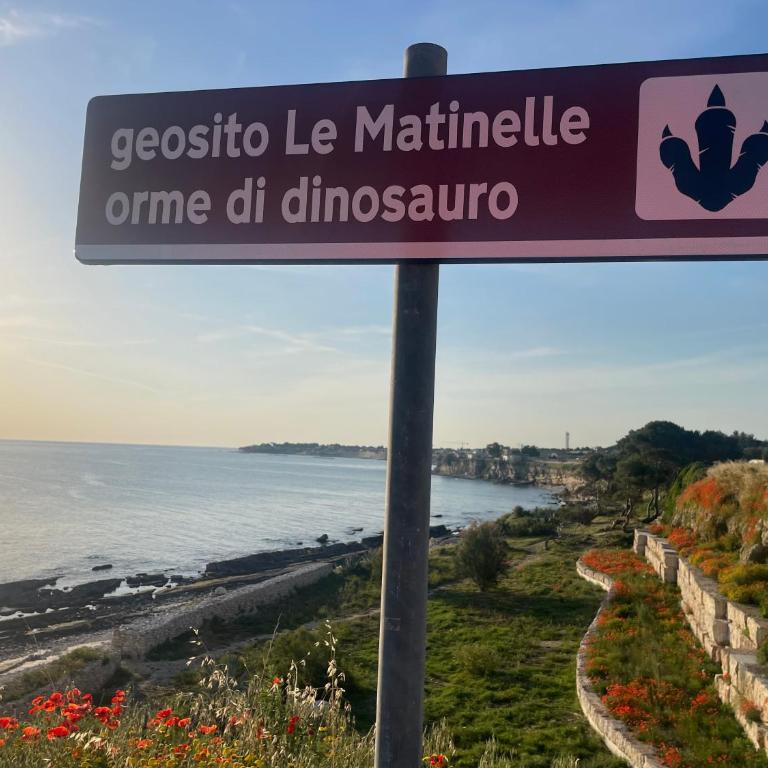 Alba sul mare - Appartamento con 2 Camere da Letto - 48