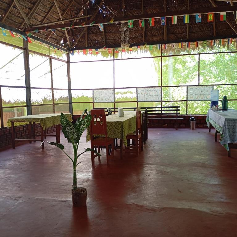 Amazon Lodge and Expeditions - Bungalow - Frente al agua - 22
