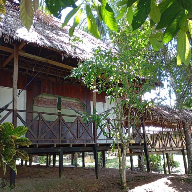 Amazon Lodge and Expeditions - Bungalow - Frente al agua - 23