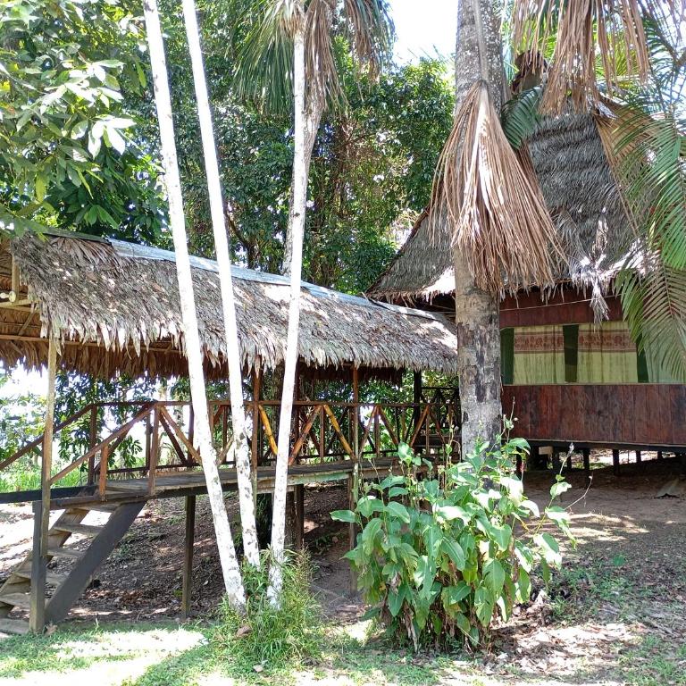 Amazon Lodge and Expeditions - Bungalow - Frente al agua - 24
