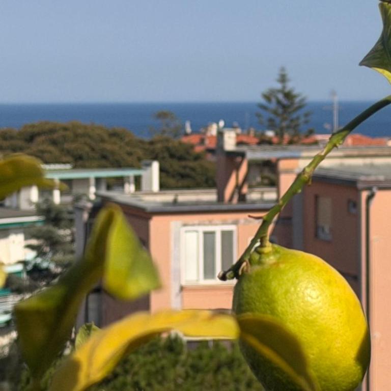 Attico degli Inglesi Sanremo - Appartamento con 2 Camere da Letto - 41