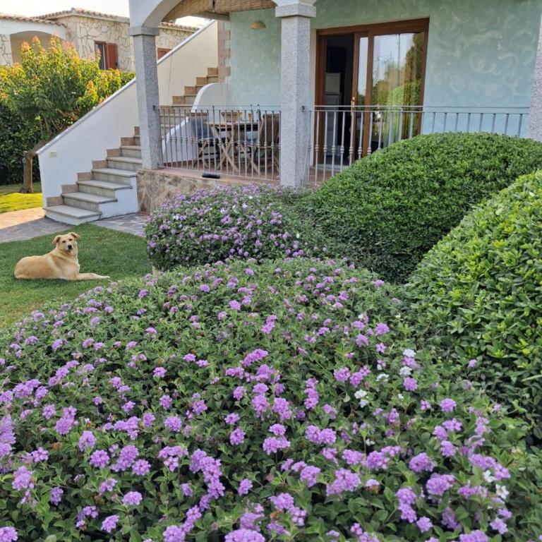 Casa vacanze terra - Casa con 2 Camere da Letto - 2