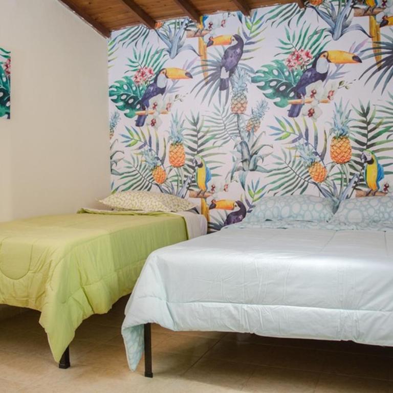 Hostal Pura Vida la 70 - Triple Room with Private Bathroom - 15