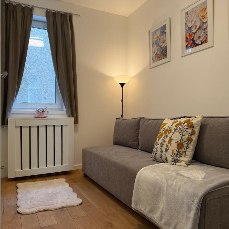 City Center Luxury Apartment - Superior Apartman sa 3 Spavaće Sobe - 7