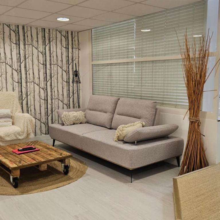 L'Eden tout confort, ascenseur, centre, calme - Appartement 1 Chambre - 4