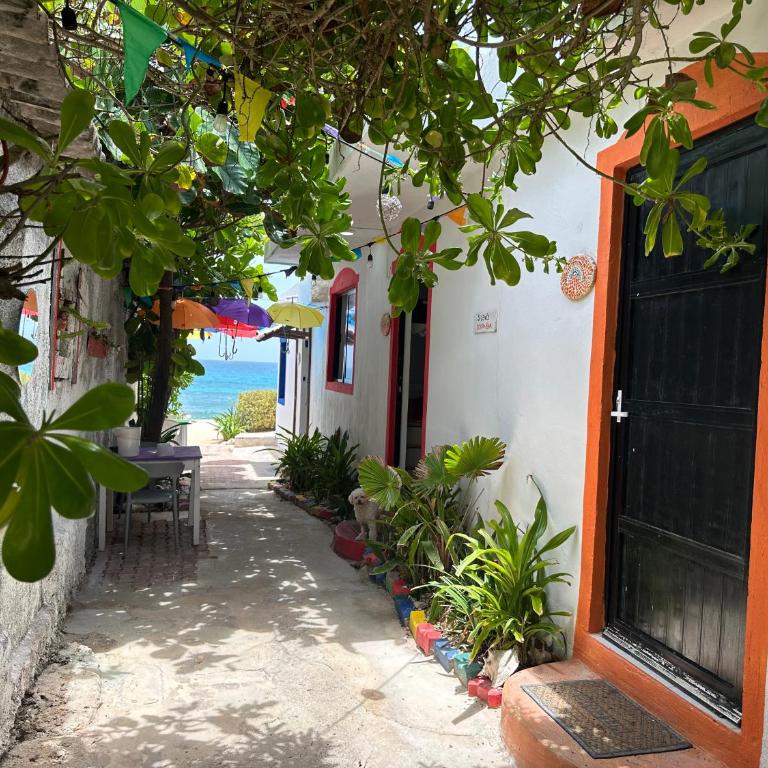 "Casitas Arcoiris" Excelente ubicación - Petfriendly - Studio - Vue sur Mer - 1