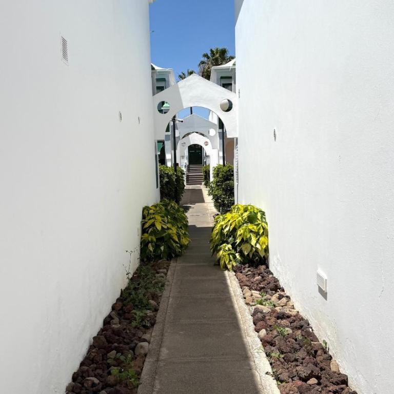 Duna Flor, sun, pool & fast Wifi - Apartment - 38