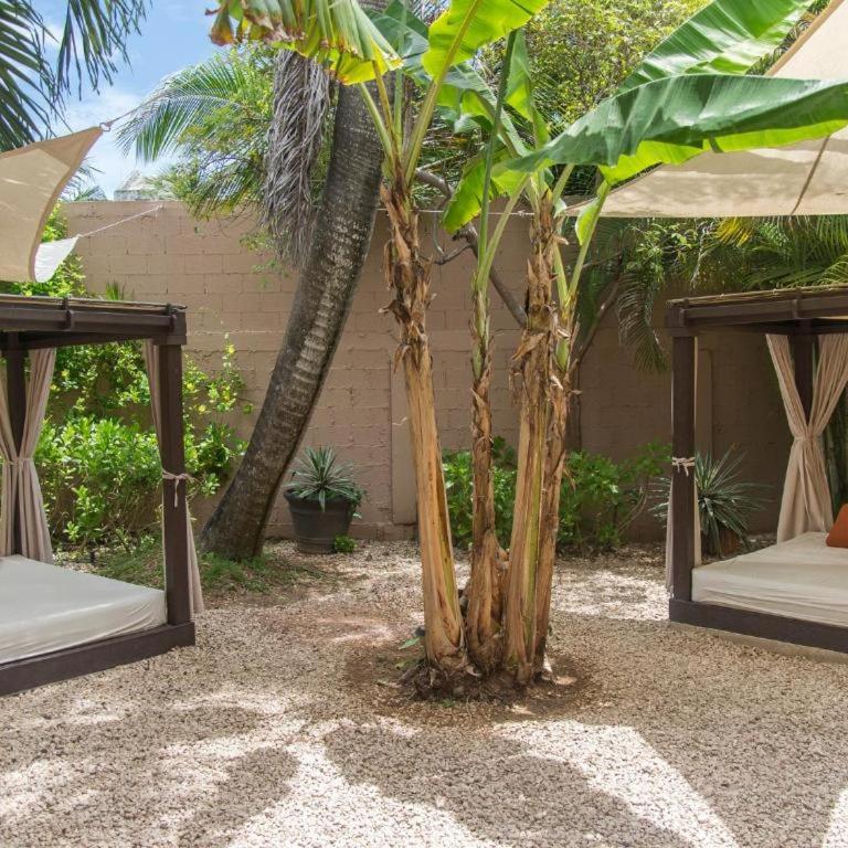 Beautiful DBL Bed Suite in the heart of PDC - Estudio Deluxe - 9
