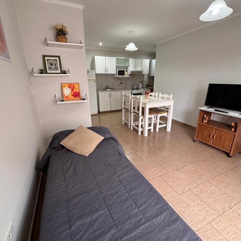 Tandil soñado x4 - Apartamento de 1 dormitorio - 2