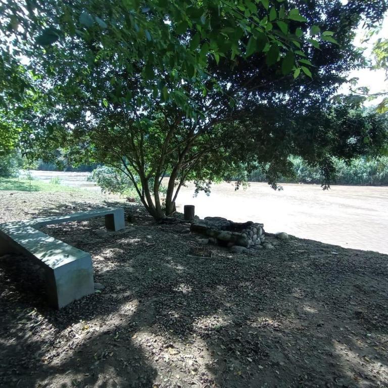 APTO CENTRO DE MELGAR CON PISCINA EN CONJUNTo - Apartamento de 2 dormitorios - 20