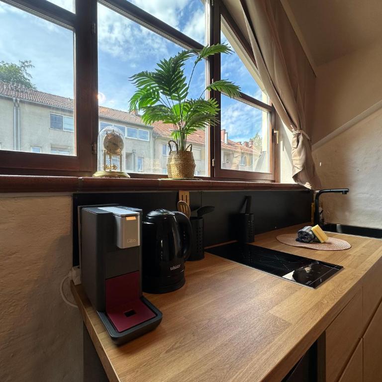 Honor-Penthouse - Apartment mit 2 Schlafzimmern - 7