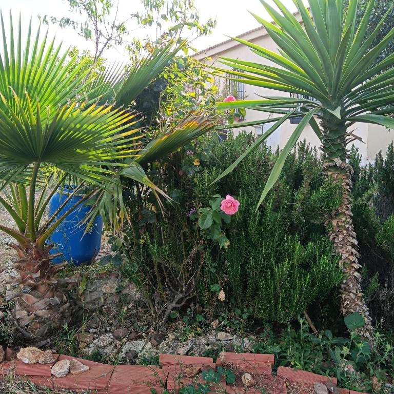 Casita del Romero Ronda - Apartamento de 1 dormitorio - 20