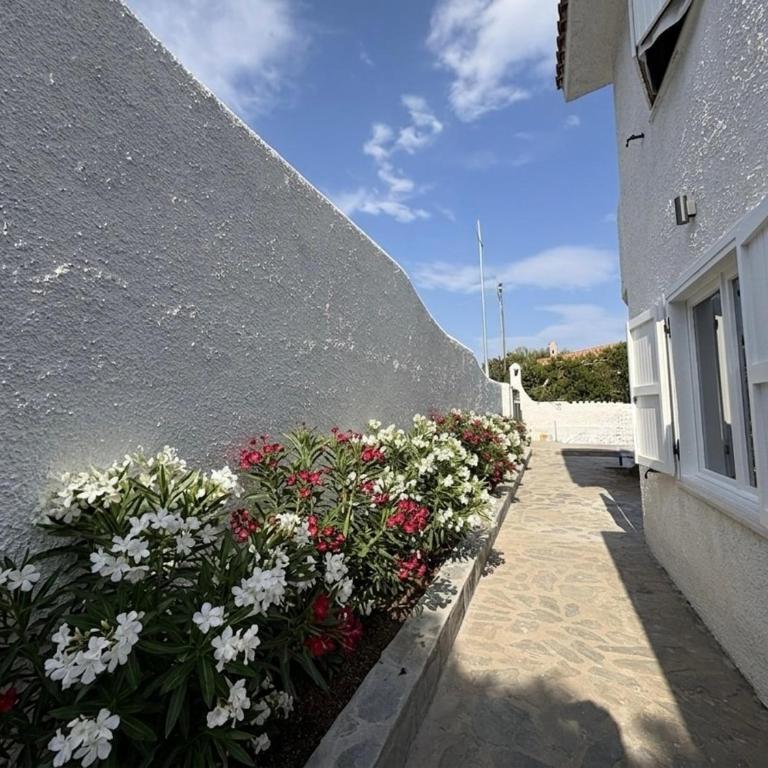 Il Giardino dei Lecci - Appartamento con 2 Camere da Letto, Terrazza e Vista Mare - 6