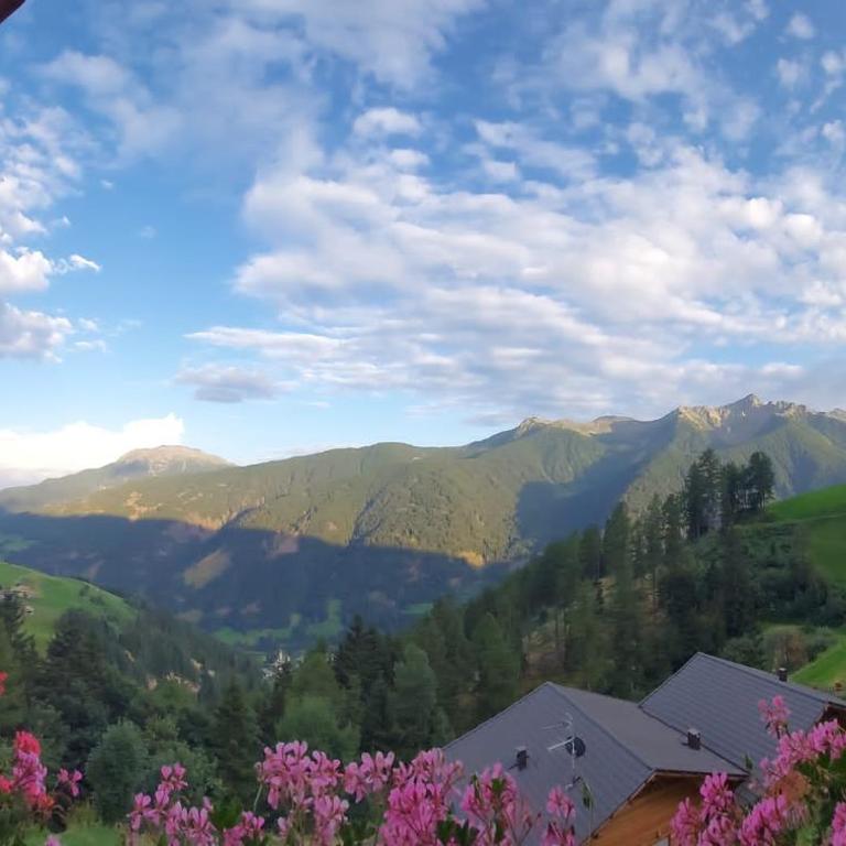 Niederhaushof - Appartamento con Vista Montagna - 22