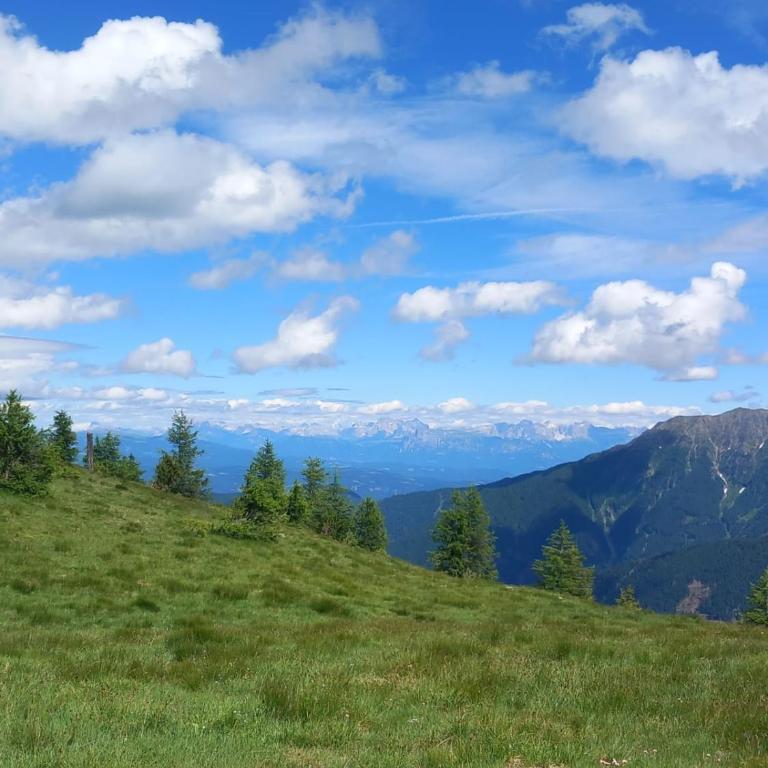Niederhaushof - Appartamento con Vista Montagna - 23