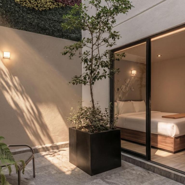 Casa Grijalva by Kukun Apartments - Suite mit Terrasse - 6