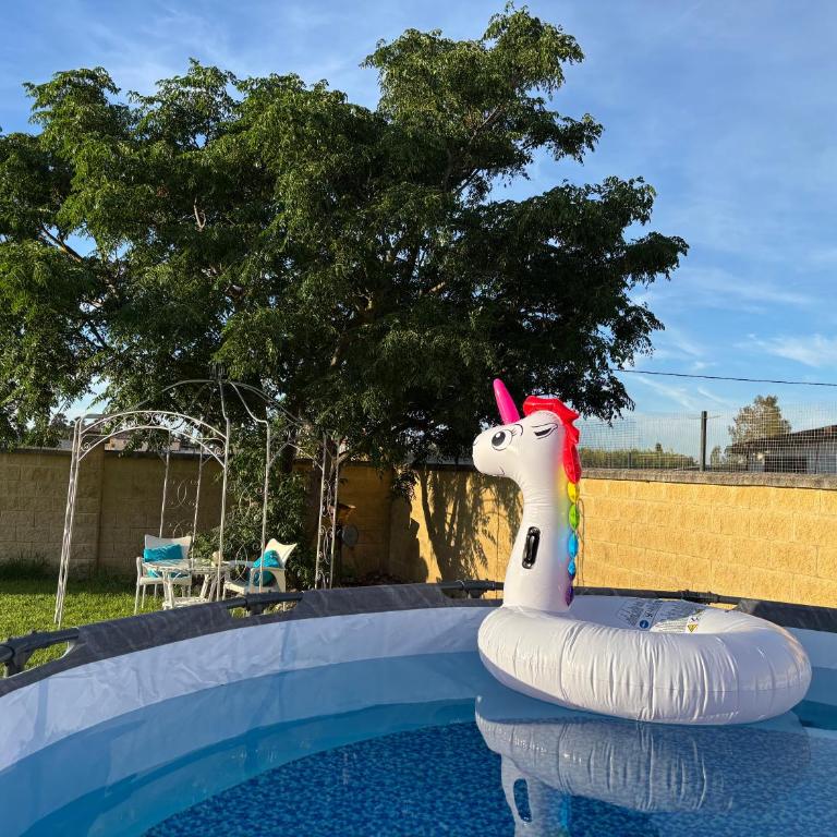 AMPLIO CHALET CON PISCINA y JARDÍN PRIVADO EN EL CORAZÓN DE LA BAHÍA DE CÁDIZ - Casa de 3 dormitorios - 5