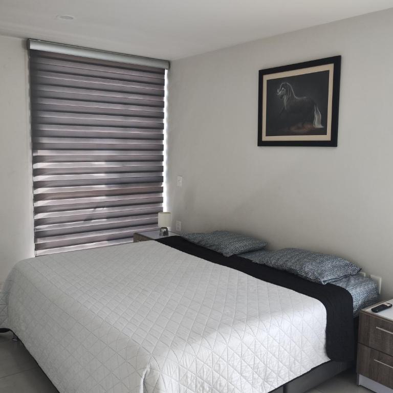 Catalán Sant Andreu - Apartamento de 2 dormitorios - 5